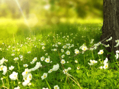 파워레인저 네이처마스터 9화(두근두근 나의 수호천사)