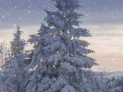 맞잡은 네 손을 영원히 놓지 않을 것이라고.