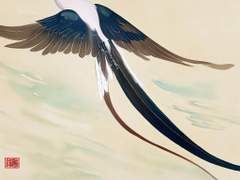 마명조 (馬明鳥)