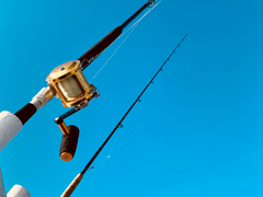 농구 없이도 살 수 있습니다