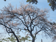 2번남 너는 왜 사이비일까