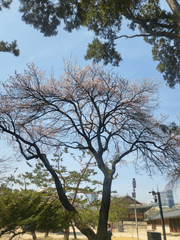 29세 봄 소개팅 시리즈 4부작