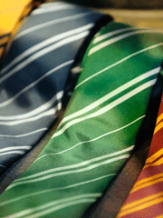 [해리포터] 수호자