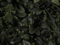 그저, 소문에 불과했다.