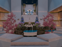 지고천 대형 하우스<angel aedes>