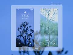 오후에서 저녁으로 넘어가는 시간대