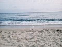 [명헌태섭] 알오썰 01