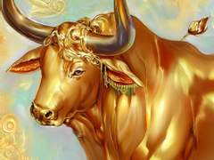 금우 (金牛)