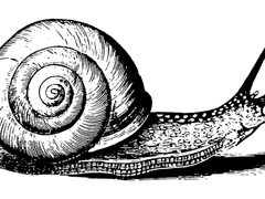 05 (미성년자ver)