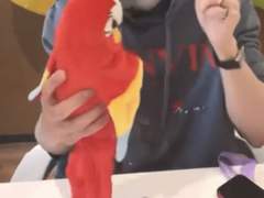 [23.03.18 생일 축하해줘서 고마워❣️]