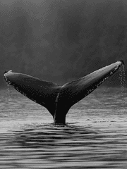 뜰팁/팀샐 단편소설