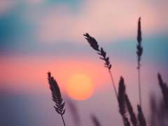 [BL] 영험한 밤의 몸종 (43) : 형제