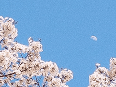 행복할 수 있어서 다행이야