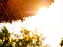 [태섭대만] 행복한가요?