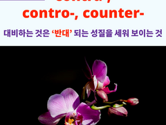 contra-, contro-, counter-