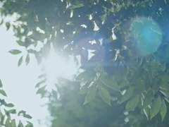 여름의 첫사랑 - 후기