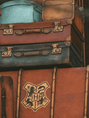 산왕 해리포터 AU