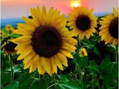 우리의 끝은 저 비가 그치기 전까지,