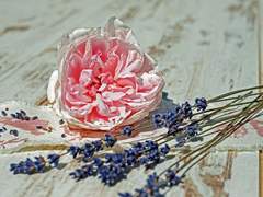 용기라는 것은 참 어려운 거라.