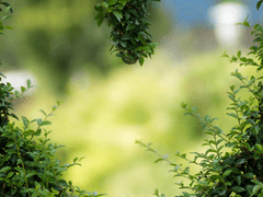 그해 여름_논쟁