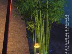 심왕 - 시문천심 (동작 - 점쾌)