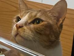 하고싶은 이야기