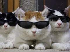 고3 새학기와 재수 새학기(?)