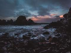 [대만태섭] 海魅