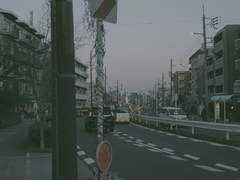 D+35 결국 사진에 미쳐버렸고