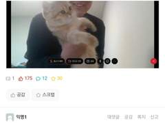 회사갈때토끼데려가도되냐,,,? 3편