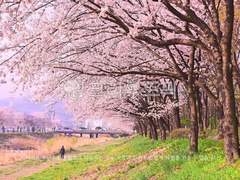 글 커미션 개장합니다!