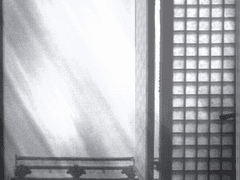 [화산귀환] 그저 홍매화 한 송이만을 남긴다