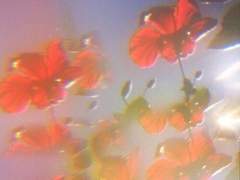 [슈짐] 요정설 中(1)