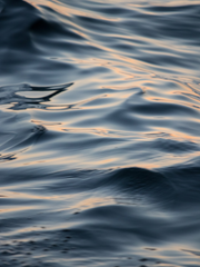 핑크머리에 환장하는 버릇이 있거든요