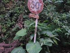 여기 있습니다 반딧불이