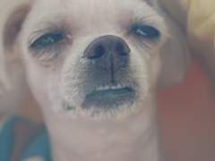 주술고전에 발령왔다 04