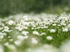 존재의 증거, 여섯 번째.