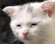 엄청 게으른 사람의 생산성을 높이는 방법