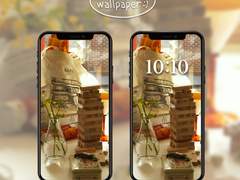 모멘토 배경화면 배포 :)