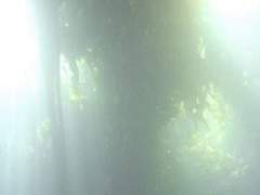 늦은 성사후기...