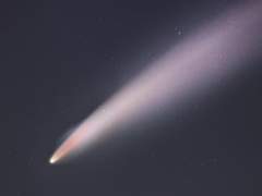 공지사항/멤버십/푸슝