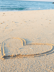 엄마, 아빠, 저희 사랑해요? 