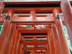 오늘의 운세? 음, 글쎄.. 빨간색을 조심하라 하더라~!