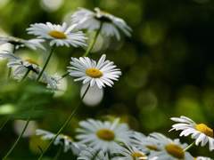 존재의 증거, 일곱 번째와 여덟 번째.