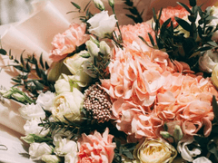 Tempus fugit, amor manet