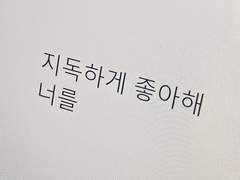 미치지 않고서야 사랑이라고 할 수 없다