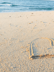 에브리데이 36.5도