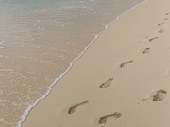 [대만태섭] 흔적