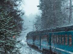 실리카겔 섭취법