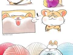 미니 리퀘스트 #1